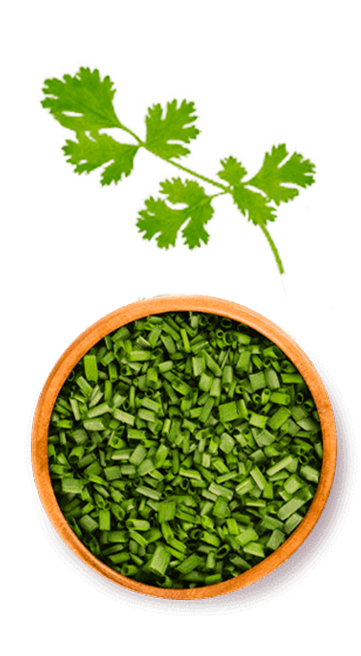 Tempero SAZÓN® Na Medida Cheiro-Verde Tempero SAZÓN® Na Medida Cheiro-Verde