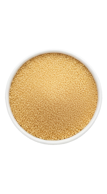 SAZÓN ® Tempera & Prepara