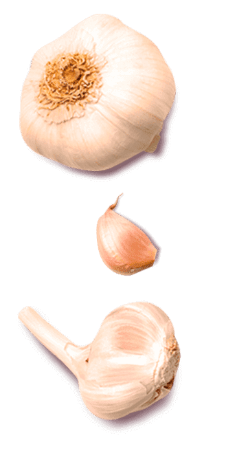 Tempero SAZÓN® Meu Toque Caseiro Sachê