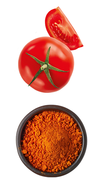 Tempero SAZÓN® para Batata Frita Páprica com Tomate Tempero SAZÓN® para Batata Frita Páprica com Tomate