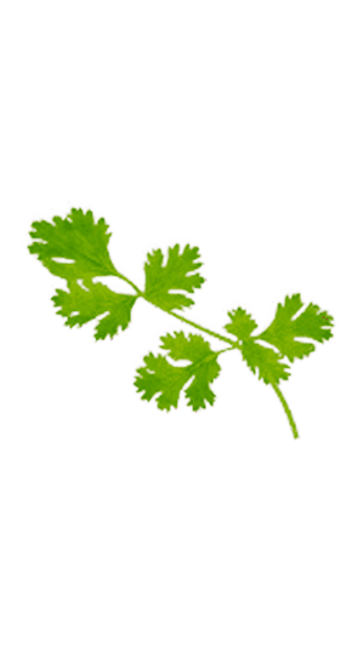 Caldo em Pó SAZÓN® LEV Galinha Caldo em Pó SAZÓN® LEV Galinha