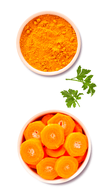Legumes Legumes