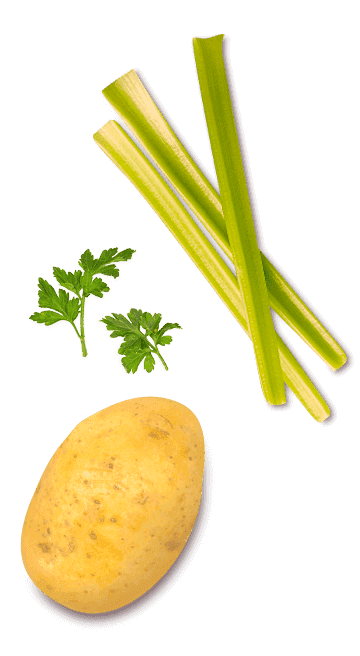 Legumes Legumes