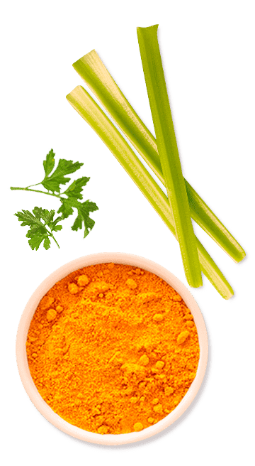 Caldo em pó SAZÓN® Lev Galinha Caldo em pó SAZÓN® Lev Galinha